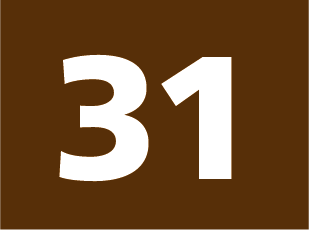 Ligne 31